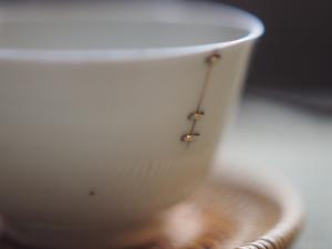 Qing Dynasty Teacup | Staple Repair